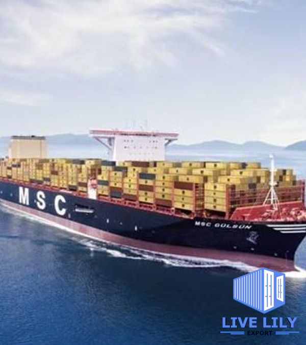 About Live Lily Export