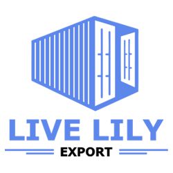 Live Lily Export